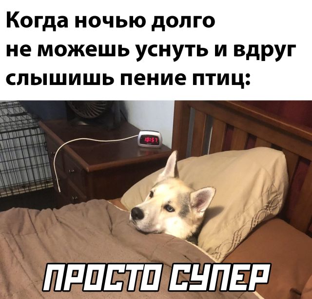 Подборка прикольных картинок Подборка прикольных картинок приколы,смешные картинки,юмор