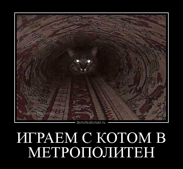 Традиционная коллекция прикольных демотиваторов на любой вкус! Традиционная коллекция прикольных демотиваторов на любой вкус!