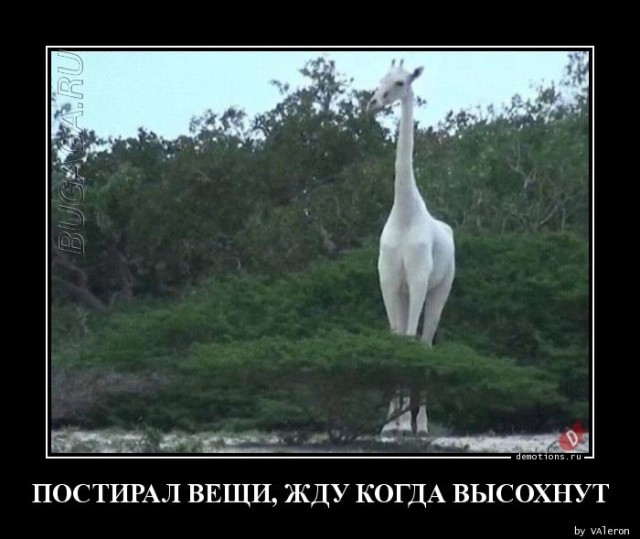 Демотиваторы дня: «Утро в челябинских яслях» Демотиваторы дня: «Утро в челябинских яслях»
