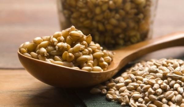 Похудение при зерновом режиме-польза и риски 