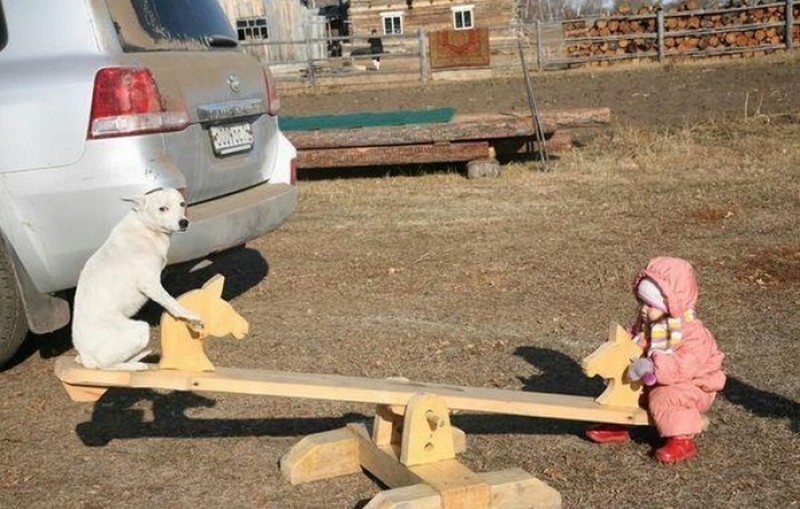 Немного прикольных картинок картинки, подборка картнок, прикол, юмор