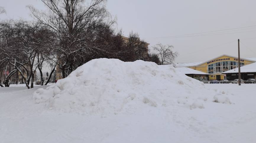 Уволили из-за снега: властям Петербурга посоветовали не повторять сценарий вице-губернатора Севастополя