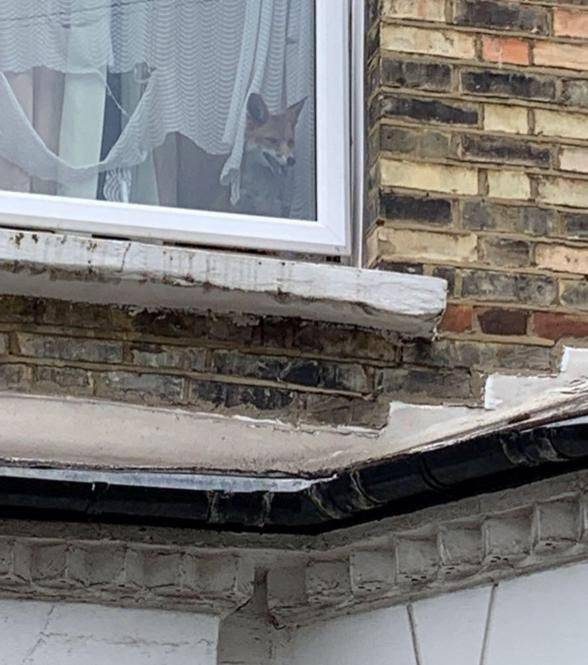 Прикольные мемы и картинки Прикольные мемы и картинки