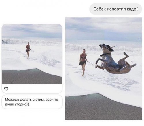 Отфотошопьте мою фотку 