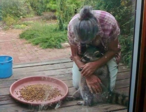 22 очаровательных животных, которые вызовут улыбку и подарят позитив 22 очаровательных животных, которые вызовут улыбку и подарят позитив