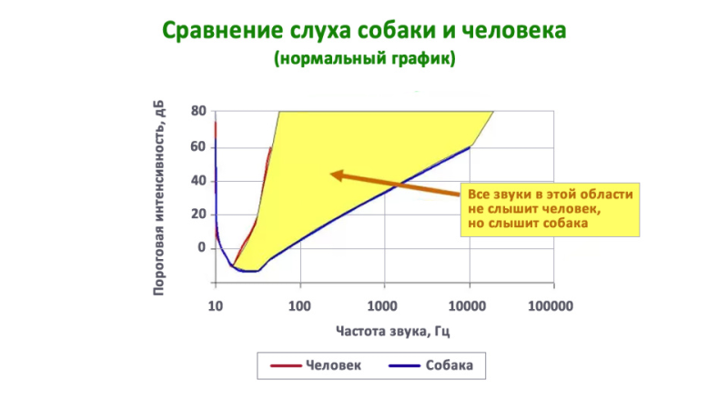 Собаки обладают значительно большей чувствительностью слуха к высокочастотным звукам, чем люди. График: Stanley Coren