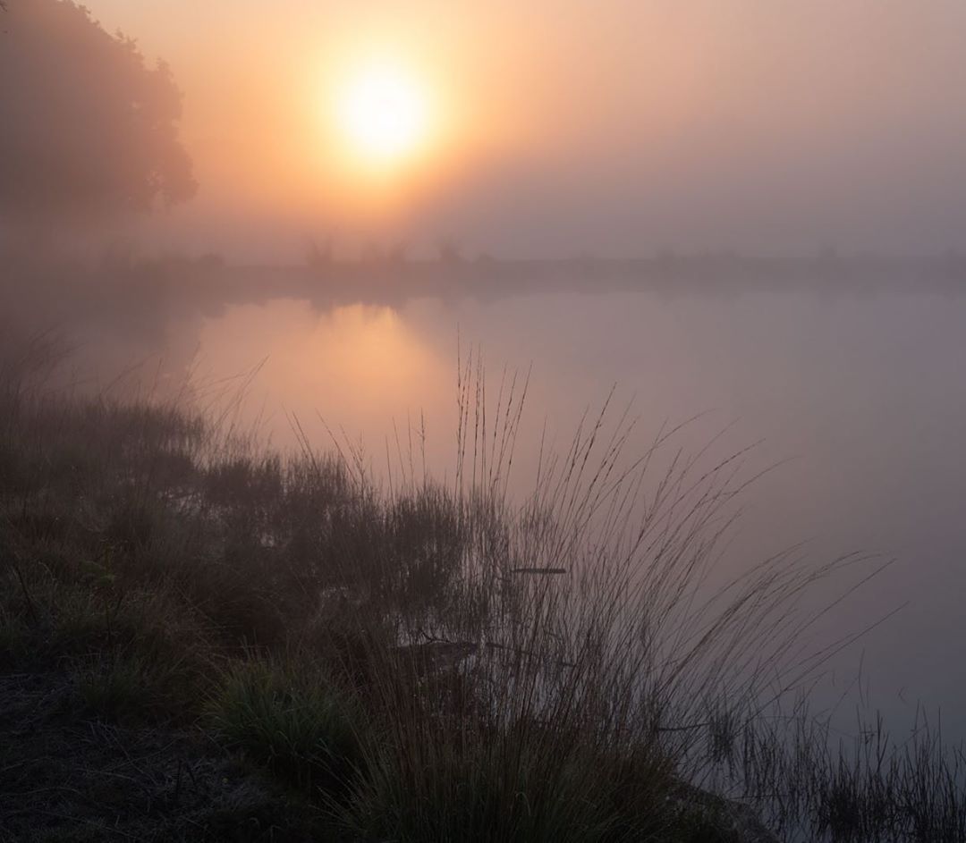 Красивая природа на снимках Кэт Готард природа