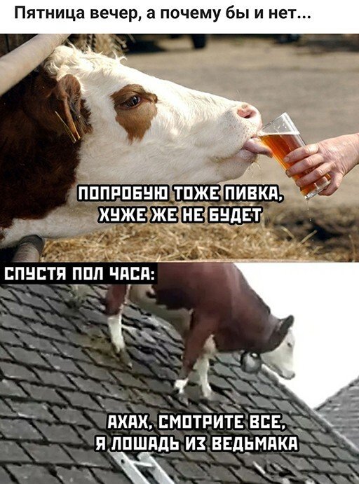 Приколы про алкоголь после выходных Приколы про алкоголь после выходных позитив,смешные картинки,юмор