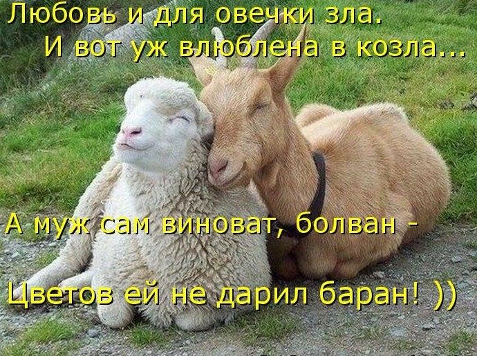 оскорбительные слова в нашем лексиконе