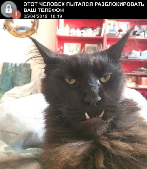 Прикольные картинки этого дня Прикольные картинки этого дня