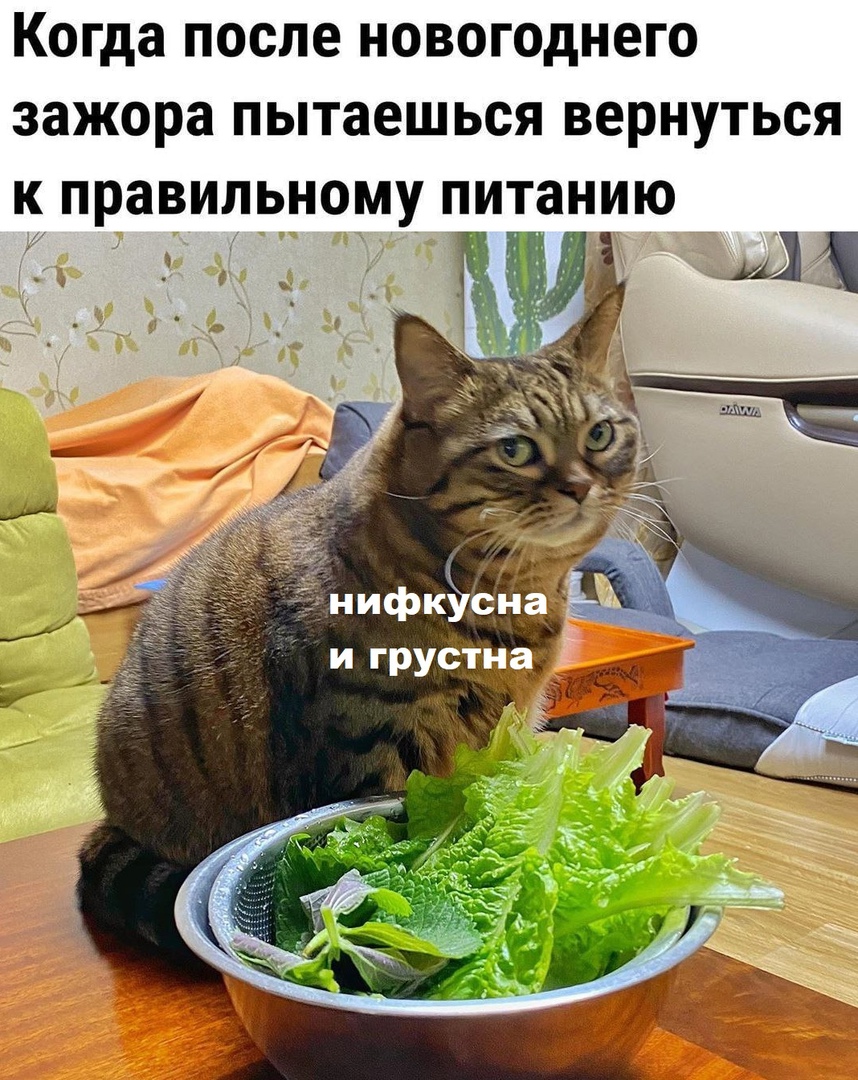 Юмор из интернета 693 Юмор из интернета 693 позитив,смех,улыбки,юмор