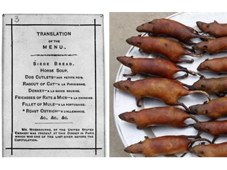 Что приходилось есть парижанам в конце XIX века