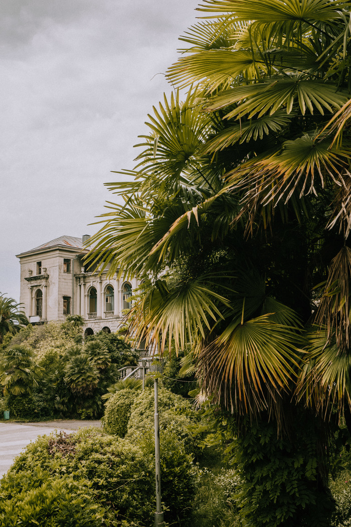 Заброшенный санаторий в Сочи, или как оказаться в Джуманджи Заброшенный санаторий в Сочи, или как оказаться в Джуманджи Россия,туризм