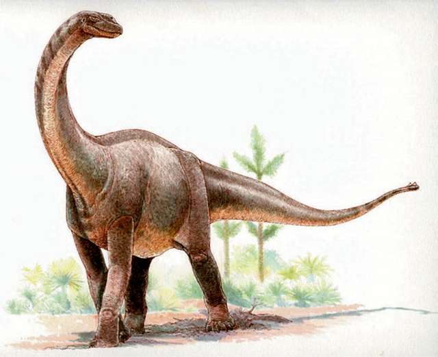 Рис. 3. Квезитозавр (Quaesitosaurus orientalis), длина тела – около 20 м
