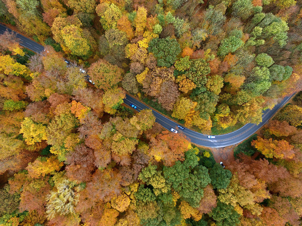 Осенняя дорога с высоты птичьего полета, Кельн, Германия