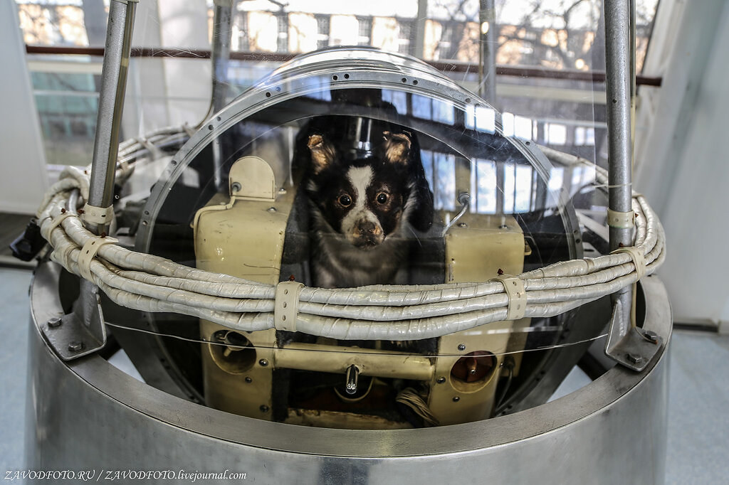 Музей ракетно-космической корпорации «Энергия» им. С.П. Королева космонавтика,Россия,СССР,фоторепортаж