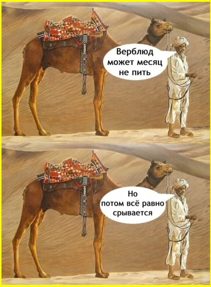 Доброутрешние субботние весёлые картинки Доброутрешние субботние весёлые картинки