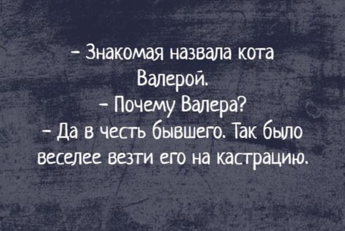 Черника улучшает зрение, орехи - память, а деньги улучшают все! 