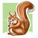 Белка — фраер