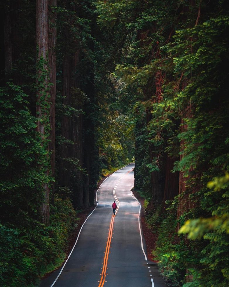 Путешествуй! Фотографируй! Мечтай! путешествие,турист