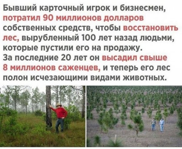 Картинки с надписями и всякие жизненные фразы