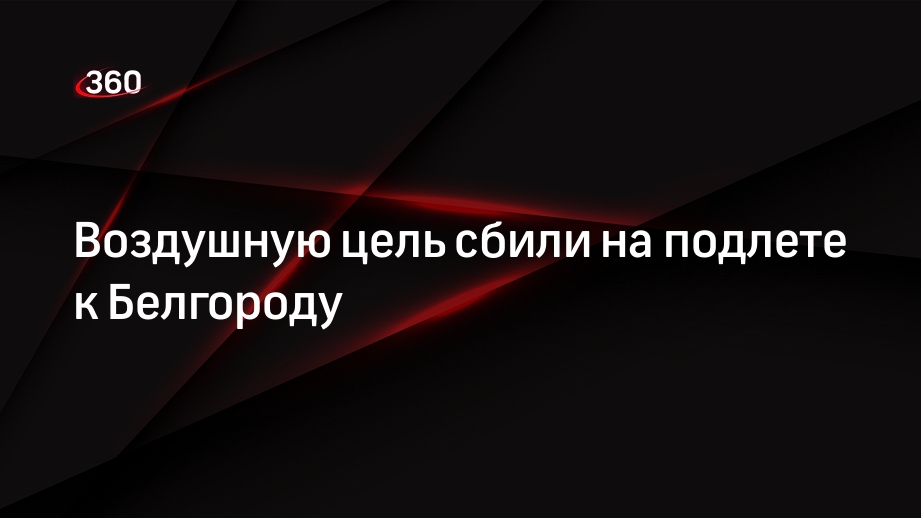 Гладков: система ПВО сбила воздушную цель возле Белгорода