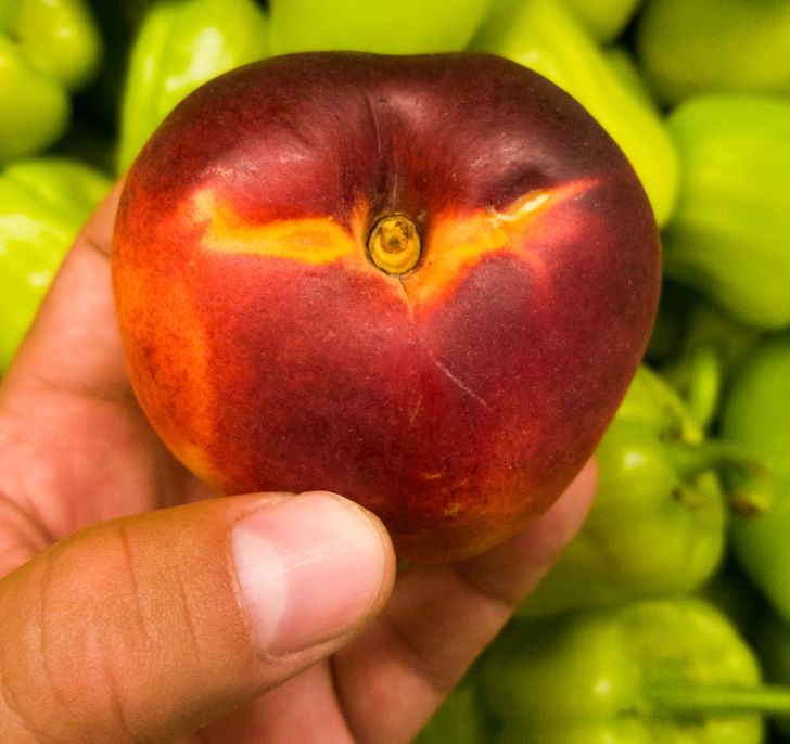 18 родителей, которые решили соригинальничать и дали детям такие имена, что хоть стой, хоть падай 18 родителей, которые решили соригинальничать и дали детям такие имена, что хоть стой, хоть падай имена,позитив,смех,улыбки,юмор