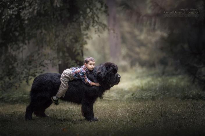 Маленькие дети и их большие собаки Маленькие дети и их большие собаки картинки,супер