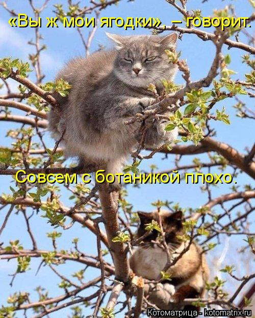 А я, оказывается, очень даже ничего! - сказала жизнь, посмотрев телевизор А я, оказывается, очень даже ничего! - сказала жизнь, посмотрев телевизор демотиваторы,животные,позитив,приколы,Смешные животные,юмор