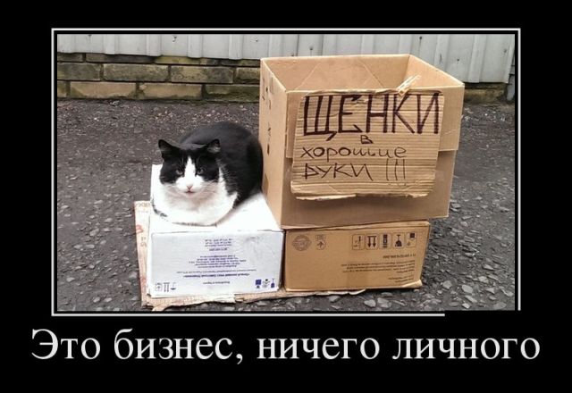 Демотиваторы
