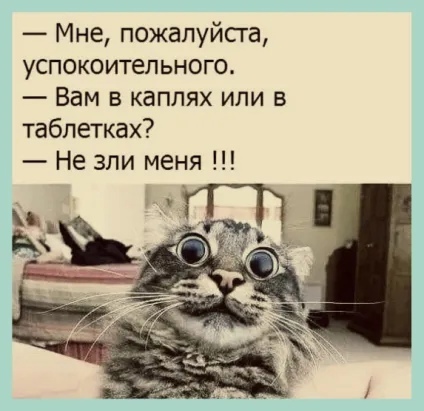 Юмор из интернета 693 Юмор из интернета 693 позитив,смех,улыбки,юмор