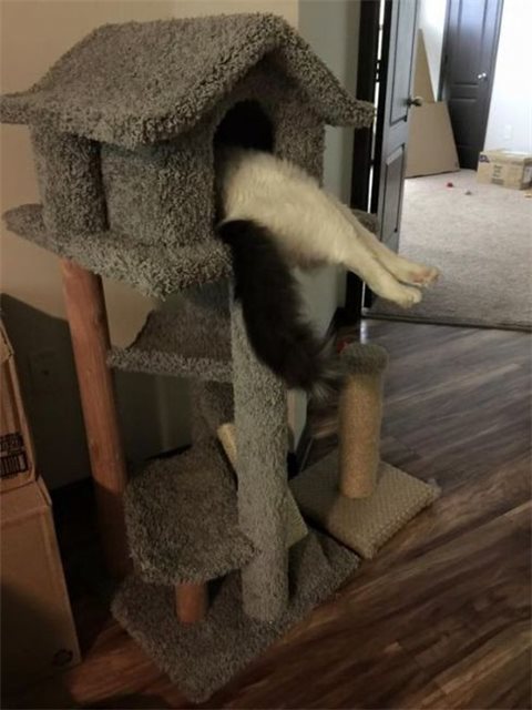 Написала письмо Деду Морозу. Отдала мужу. Жду веселые картинки