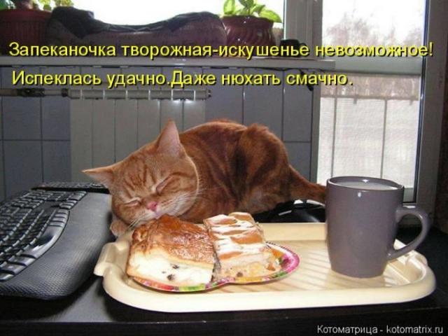 Воскресные прикольные картинки с надписями, папе