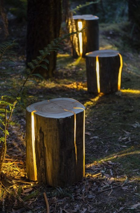 Светильник из необработанного деревянного пня, который позволит создать лёгкое и романтическое освещение на территории любого дачного участка.