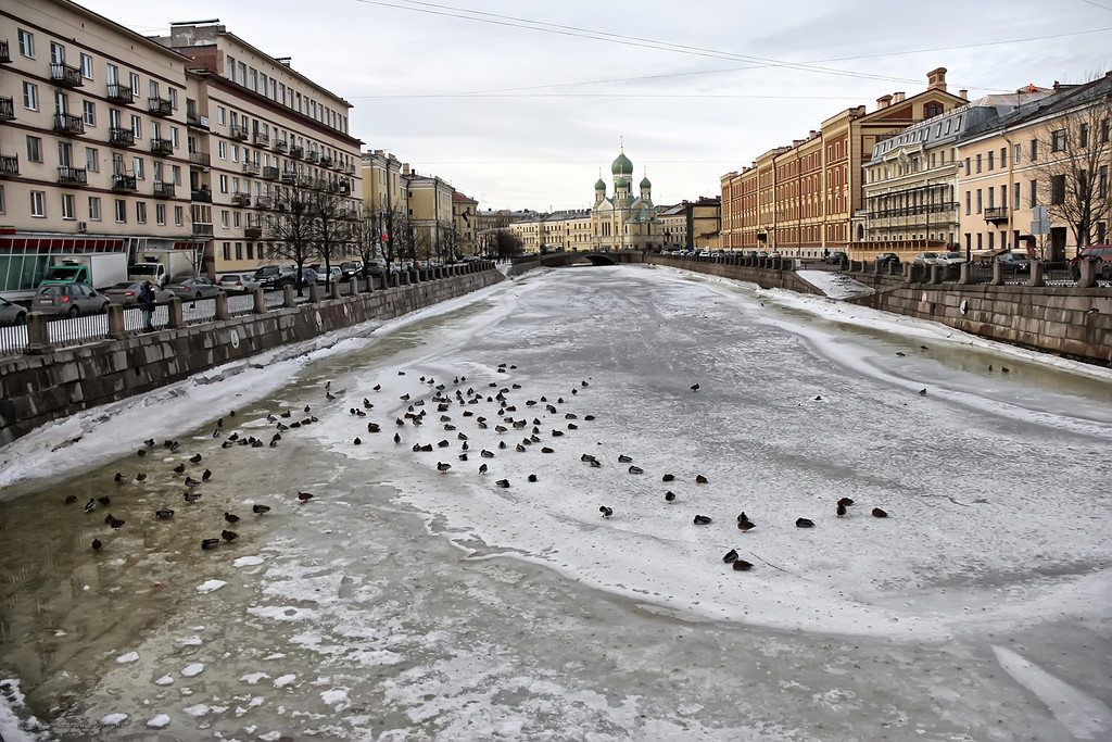 Погодная спб. Питерские тротуары. Питерская погода. Погода в Питере картинки. Погода в Питере.