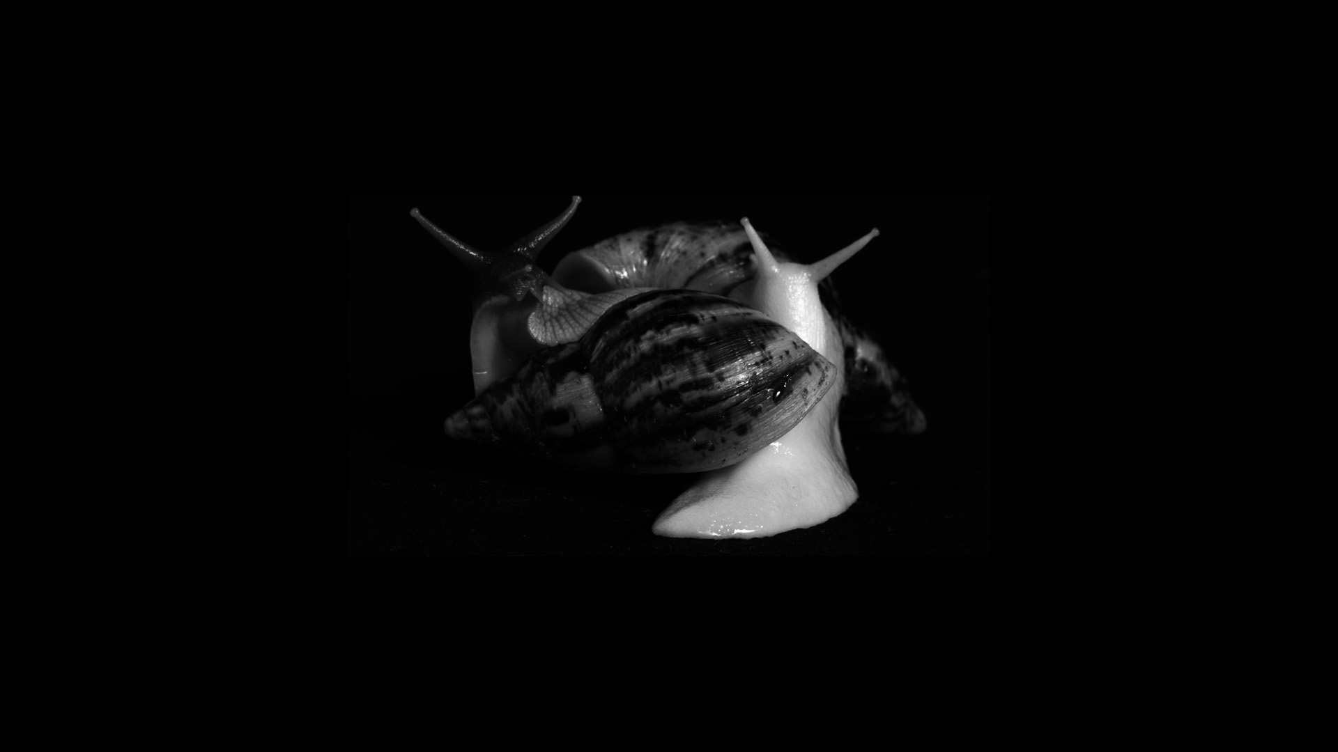 Кадр из фильма «Нева»