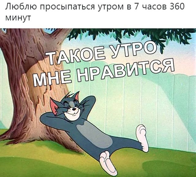 Весёлые моменты дня Весёлые моменты дня