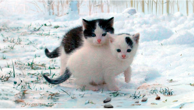 Предательство - обычное дело