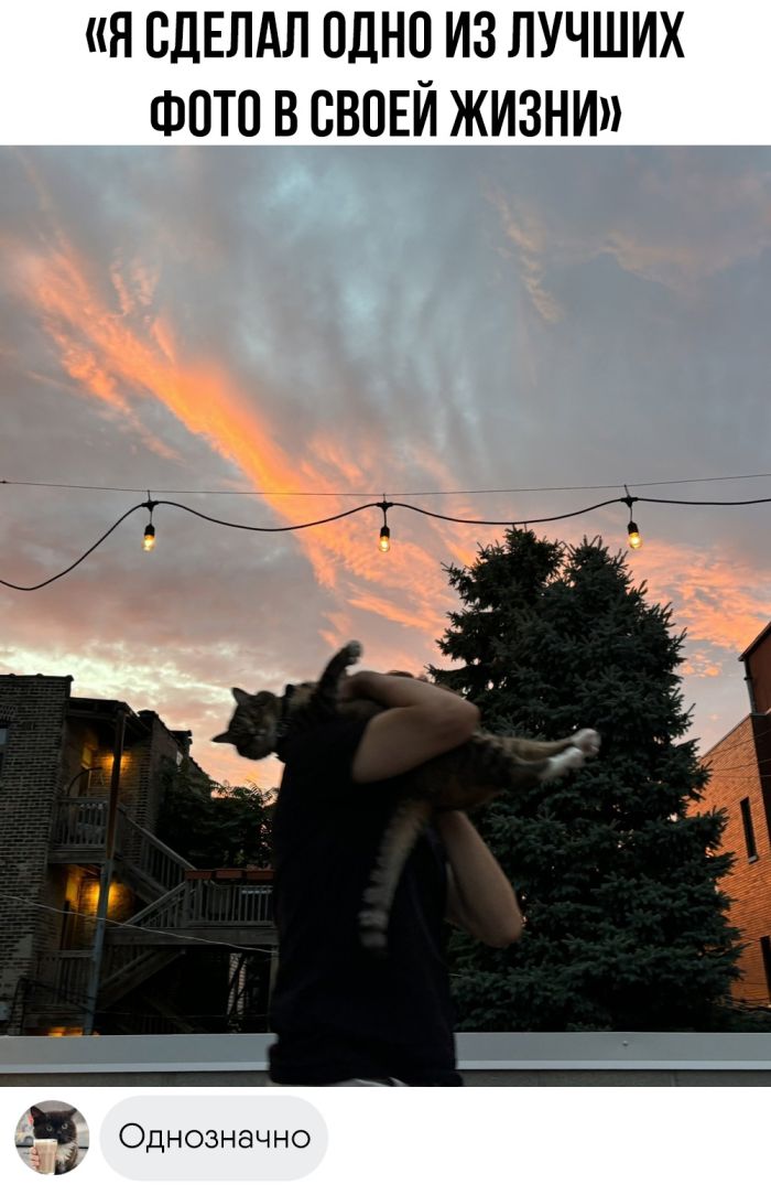 Колкие комментарии, которые как острый соус приправляют сам пост Колкие комментарии, которые как острый соус приправляют сам пост