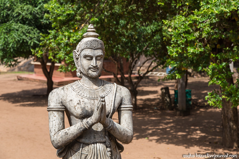 Колыбель буддизма на Шри-Ланке или загадка о манговом дереве