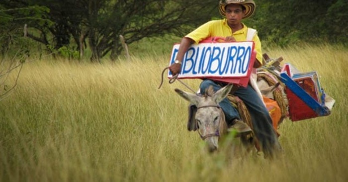 В Венесуэле мулов используют так же, как слонов в Таиланде. /Фото: listverse.com