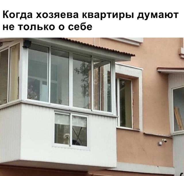 Прикольные и зачетные фотографии с надписями Смешные картинки с надписями до слез