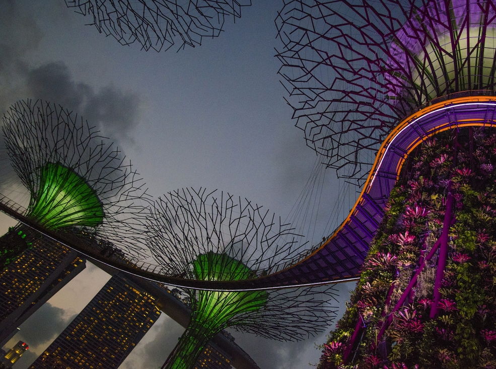 Тропический парк «Сады у залива», Сингапур