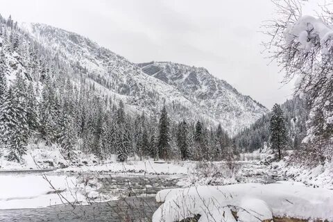 Бесплатно Скачать оригинал дерево, пустыня, гора, снег, зима, мороз, река, ...