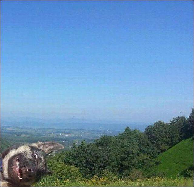 Весёлые картинки для всех: «Диалог между двумя гениями»