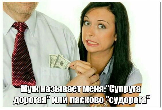 Свежие веселые картинки 