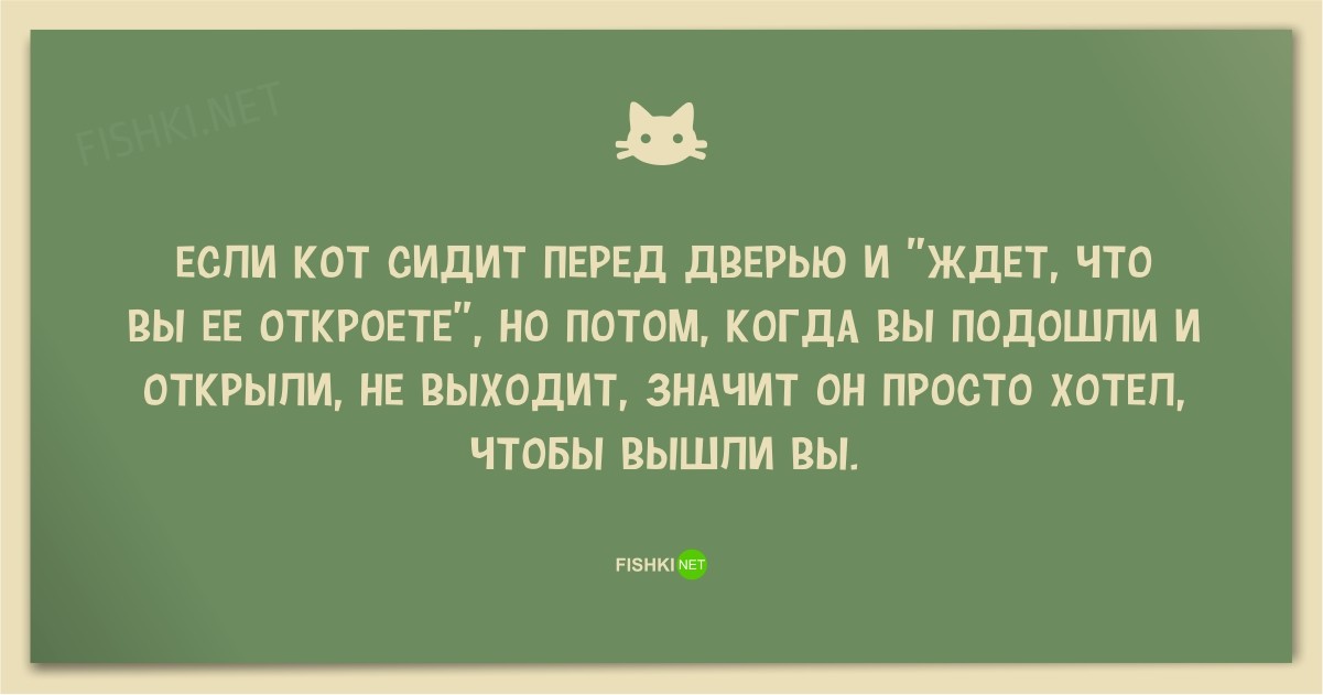 25 смешных анекдотов про кошек и котов