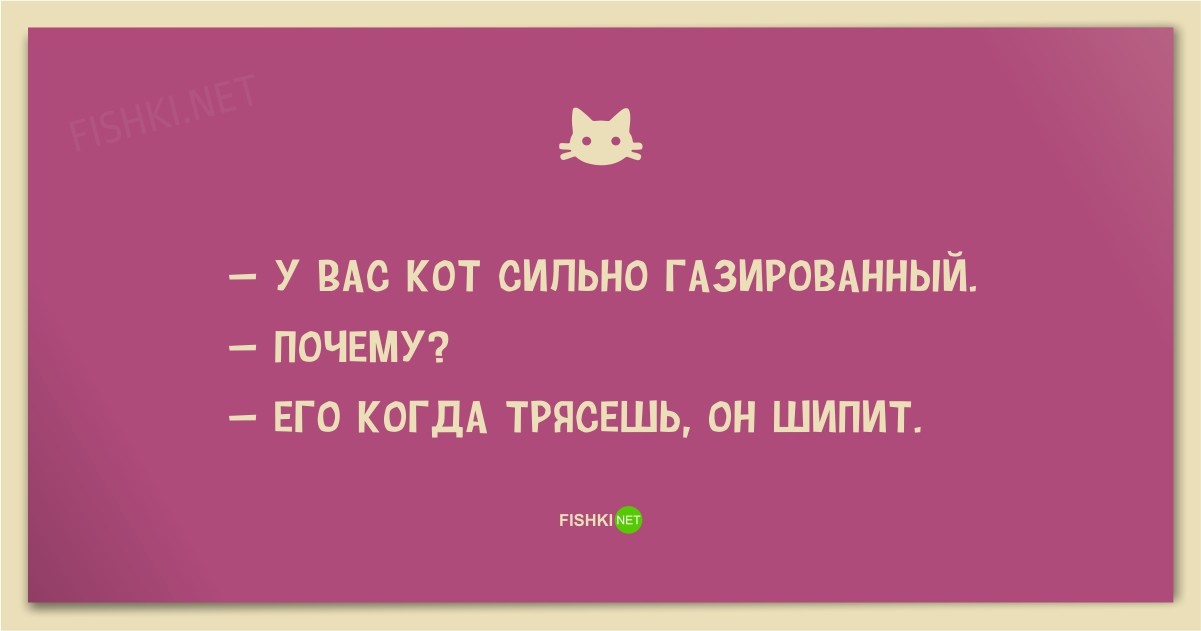 25 смешных анекдотов про кошек и котов