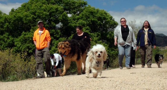 Научно подтвержденные причины завести собаку Научно подтвержденные причины завести собаку смешные картинки,угарные фотки,фото приколы,юмор