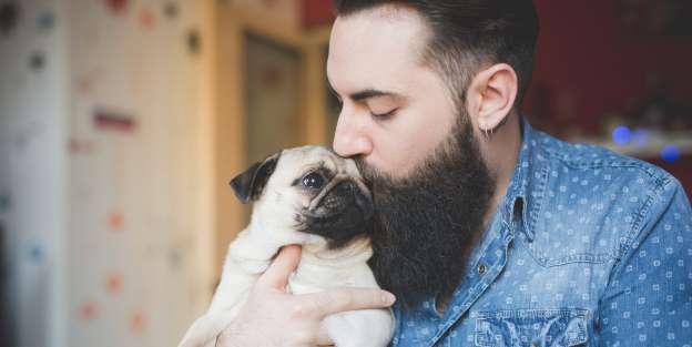 Носить бороду менее гигиенично, чем держать дома собаку: почему так считают ученые